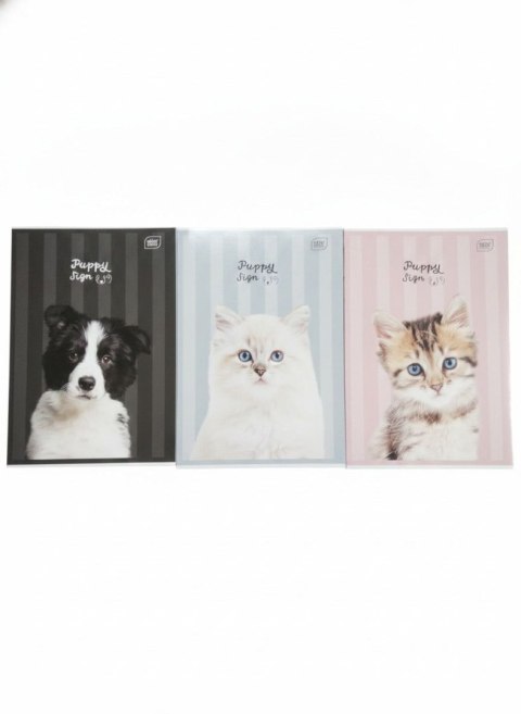 Zeszyt A4 PUPPY SIGN 32k. 70g krata Interdruk (ZEA432K#PS)