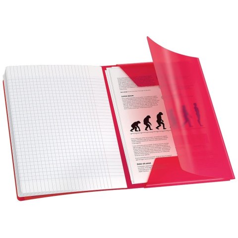 Zeszyt B5 EASYBOOK 60k. 90g linia Oxford (400208076)