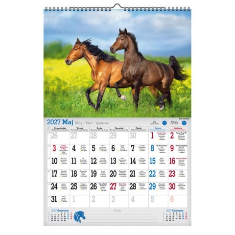 Kalendarz ścienny 2027 KONIE 470mm x 320mm Pan Kalendarzyk (A3 VD.15)