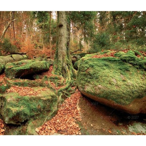 Kalendarz ścienny MAGICZNA POLSKA 13-planszowe 320mm x 470mm Lucrum (RW02)