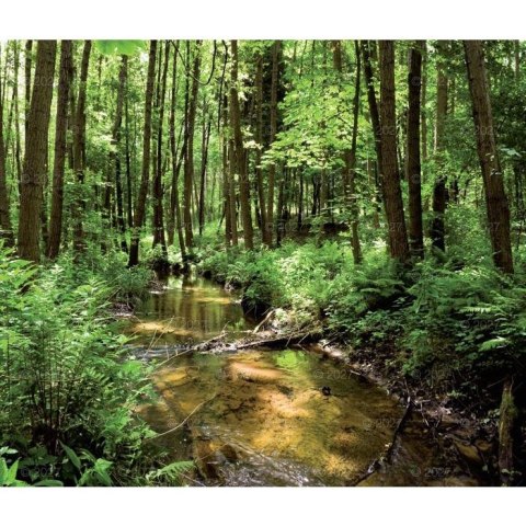 Kalendarz ścienny MAGICZNA POLSKA 13-planszowe 320mm x 470mm Lucrum (RW02)