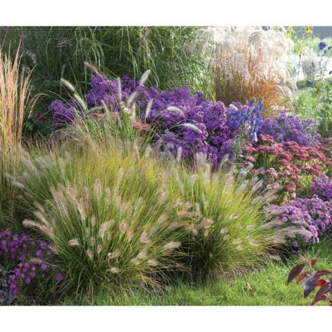 Kalendarz ścienny OGRODY RAJSKIE 13-planszowe 320mm x 470mm Lucrum (RW12)
