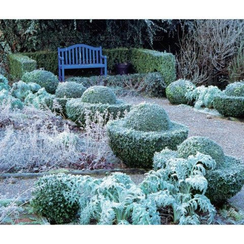 Kalendarz ścienny OGRODY RAJSKIE 13-planszowe 320mm x 470mm Lucrum (RW12)