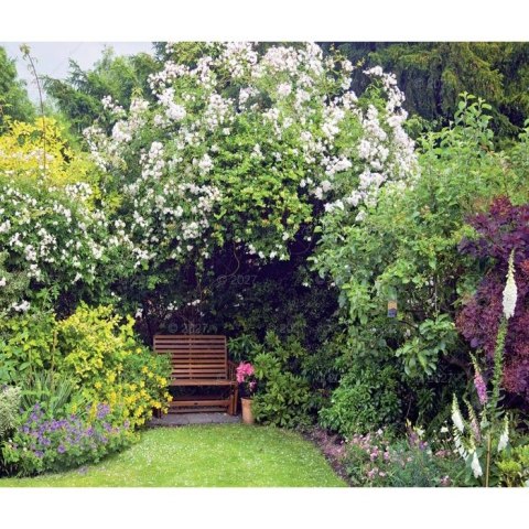 Kalendarz ścienny OGRODY RAJSKIE 13-planszowe 320mm x 470mm Lucrum (RW12)