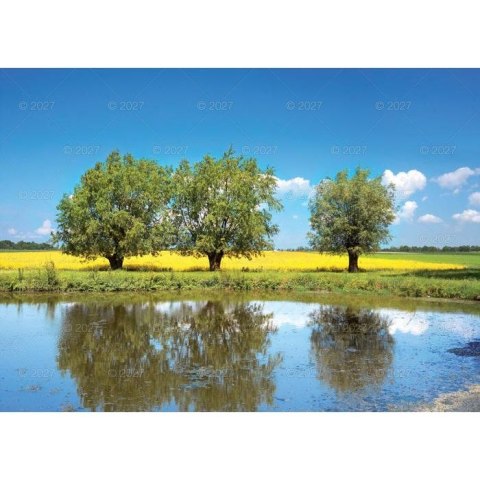 Kalendarz ścienny PEJZAŻE POLSKIE 13-planszowe 320mm x 470mm Lucrum (RW01)