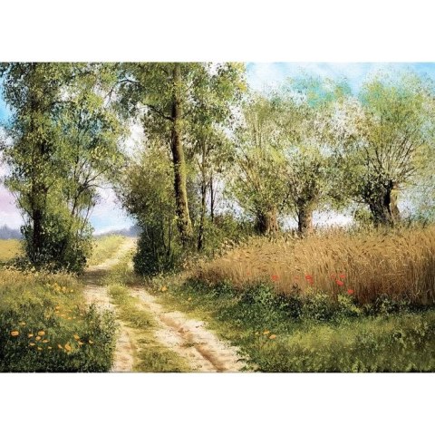 Kalendarz ścienny POLSKIE ZAKĄTKI 13-planszowe A4 280mm x 200mm Lucrum (RW6)