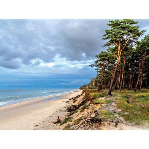 Kalendarz ścienny WEDRÓWKI PO POLSCE 13-planszowe A3+ 320mm x 470mm Lucrum (RW04)