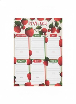 Plan lekcji Truskawka Henry (5908451985233)