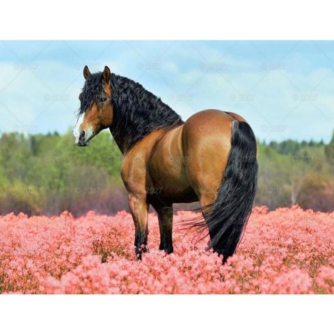 Kalendarz ścienny KONIE WOBIEKTYWIE 13-planszowe 320mm x 470mm Lucrum (RW14)