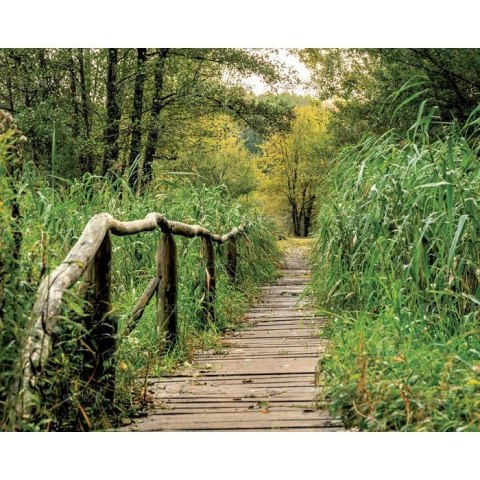 Kalendarz ścienny LASY POLSKIE 13-planszowe A3+ 320mm x 470mm Lucrum (RW06)