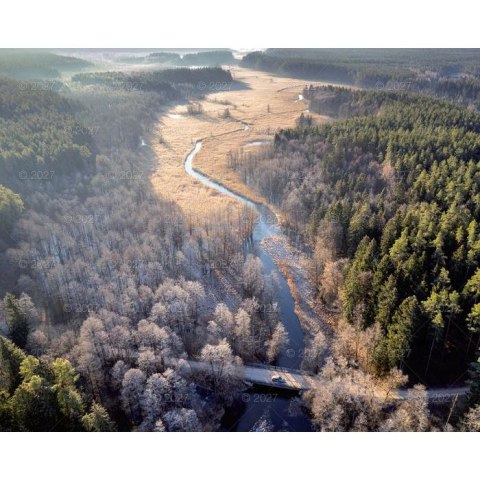 Kalendarz ścienny LASY POLSKIE 13-planszowe A3+ 320mm x 470mm Lucrum (RW06)