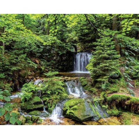 Kalendarz ścienny LASY POLSKIE 13-planszowe A3+ 320mm x 470mm Lucrum (RW06)