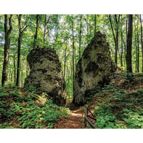 Kalendarz ścienny LASY POLSKIE 13-planszowe A3+ 320mm x 470mm Lucrum (RW06)