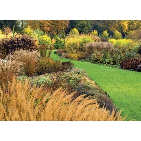 Kalendarz ścienny OGRÓDKI PRZYDOMOWE 13-planszowe 320mm x 470mm Lucrum (RW13)