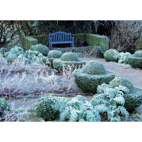 Kalendarz ścienny OGRÓDKI PRZYDOMOWE 13-planszowe 320mm x 470mm Lucrum (RW13)