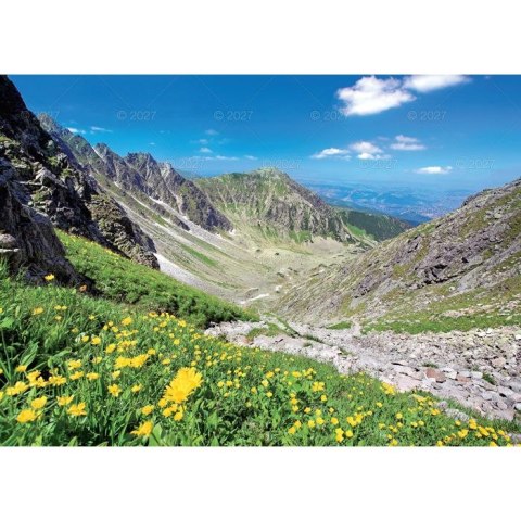 Kalendarz ścienny RODZINNY TATRY i PODHALE 13-KARTKOWY 280mm x 200mm Lucrum (WL4)