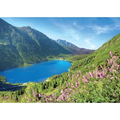 Kalendarz ścienny RODZINNY TATRY i PODHALE 13-KARTKOWY 280mm x 200mm Lucrum (WL4)