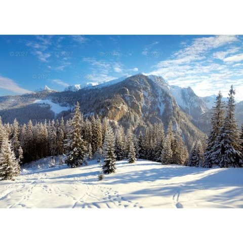 Kalendarz ścienny RODZINNY TATRY i PODHALE 13-KARTKOWY 280mm x 200mm Lucrum (WL4)