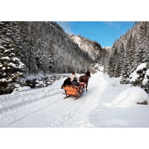 Kalendarz ścienny RODZINNY TATRY i PODHALE 13-KARTKOWY 280mm x 200mm Lucrum (WL4)
