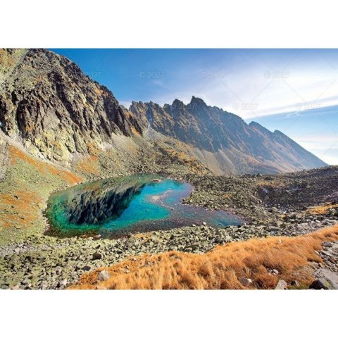Kalendarz ścienny RODZINNY TATRY i PODHALE 13-KARTKOWY 280mm x 200mm Lucrum (WL4)