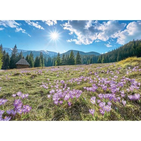 Kalendarz ścienny RODZINNY TATRY i PODHALE 13-KARTKOWY 280mm x 200mm Lucrum (WL4)