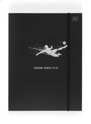 Teczka kartonowa METALIC SPORT Interdruk (A4+)