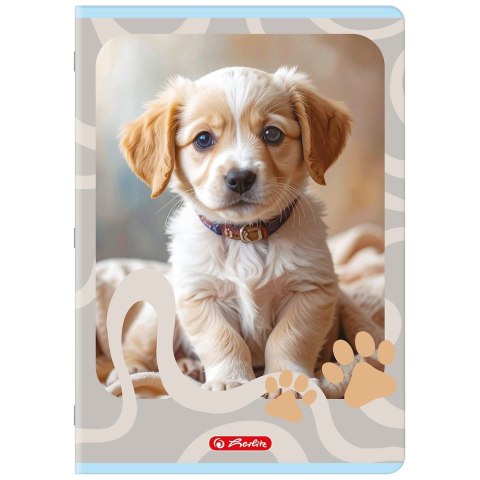 Zeszyt A4 Animals 32k. 70g kratka Herlitz (400206430)