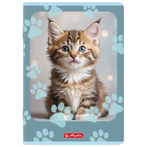 Zeszyt A5 Animals 32k. 70g kratka Herlitz (400206381)