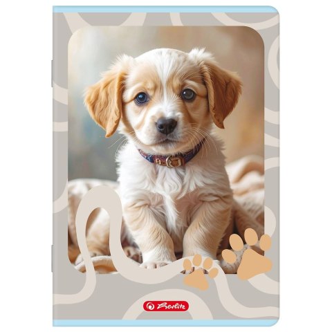Zeszyt A5 Animals 32k. 70g linia podwójna Herlitz (400206382)