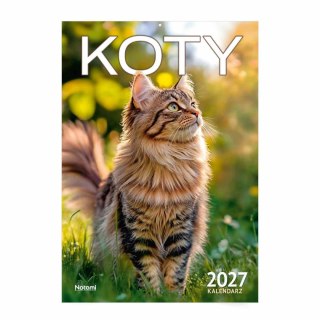 Kalendarz ścienny KOTY 205mm x 295mm Press (16 STRON)