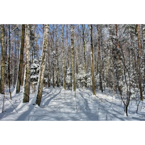Kalendarz ścienny wieloplanszowe - rodzinny 280mm x 200mm Beskidy (KR)