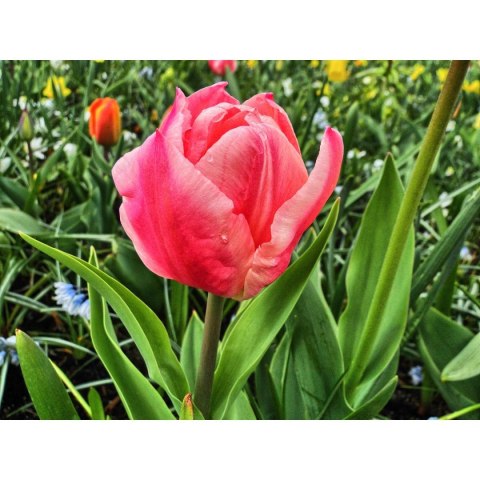 Kalendarz ścienny wieloplanszowe - rodzinny 280mm x 200mm Beskidy (KR)