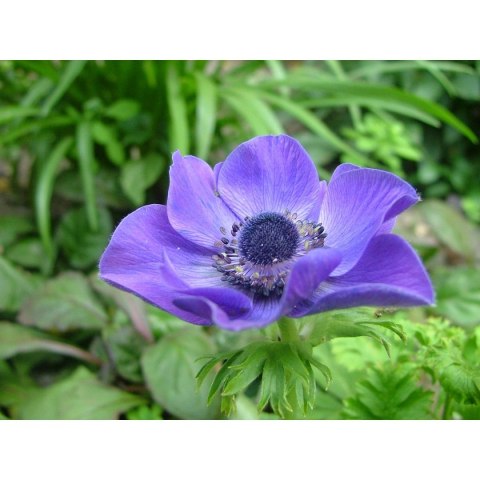 Kalendarz ścienny wieloplanszowe - rodzinny 280mm x 200mm Beskidy (KR)