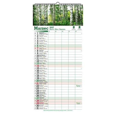 Kalendarz ścienny PASKOWY SZEROKI TAJEMNICZY LAS 220mm x 470mm Pan Kalendarzyk (KPS V.5)