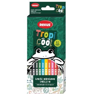 Kredki ołówkowe TROPICOOL 12 kol. Rexus (52517)