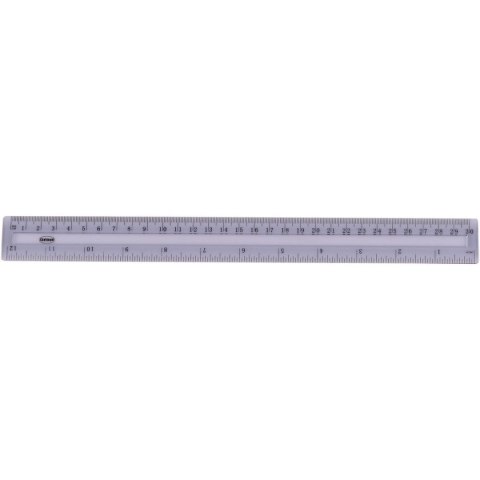Linijka plastikowa 30cm Panta Plast (80727)