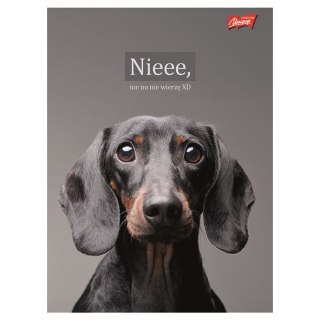 Zeszyt A4 Doggy Moods 60k. 70g krata Unipap