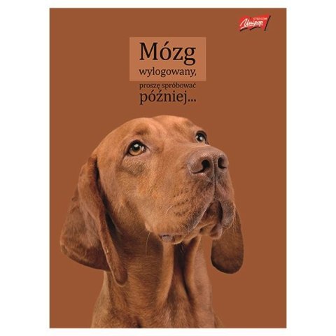 Zeszyt A4 Doggy Moods 60k. 70g krata Unipap