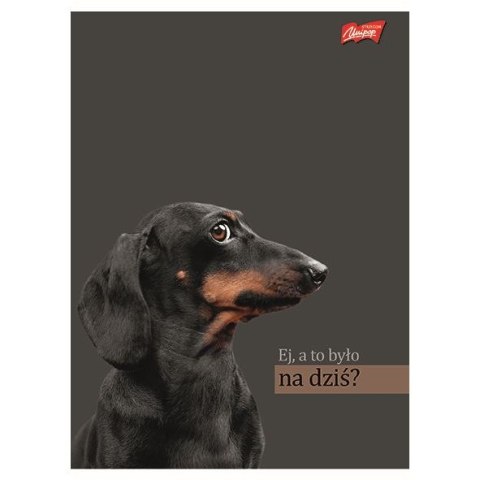 Zeszyt A4 Doggy Moods 60k. 70g krata Unipap
