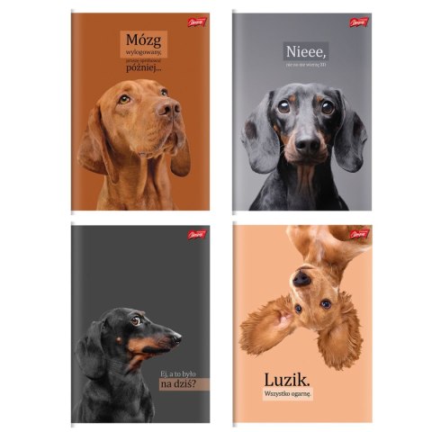 Zeszyt A4 Doggy Moods 60k. 70g krata Unipap