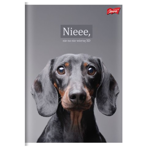 Zeszyt A4 Doggy Moods 60k. 70g krata Unipap