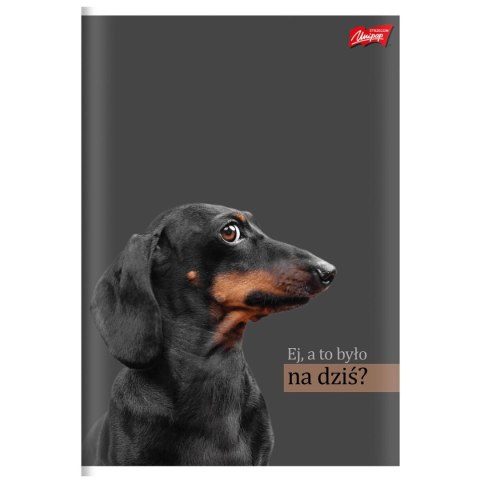 Zeszyt A4 Doggy Moods 60k. 70g krata Unipap