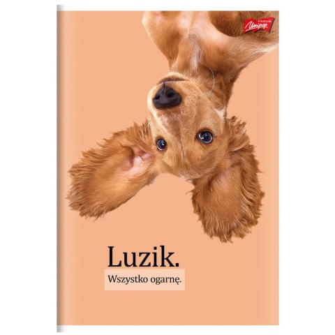 Zeszyt A4 Doggy Moods 60k. 70g krata Unipap