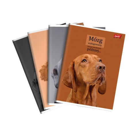 Zeszyt A4 Doggy Moods 60k. 70g krata Unipap