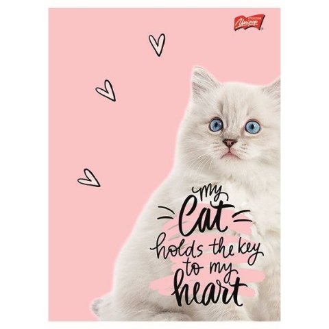 Zeszyt A5 PURRFECT MOMENTS 60k. 70g krata Unipap