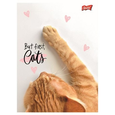 Zeszyt A5 PURRFECT MOMENTS 60k. 70g krata Unipap
