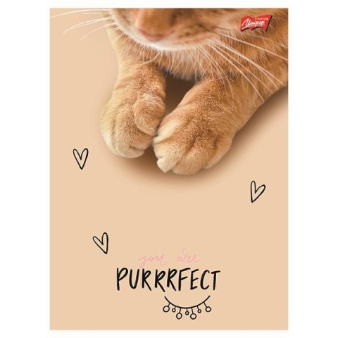 Zeszyt A5 PURRFECT MOMENTS 60k. 70g krata Unipap