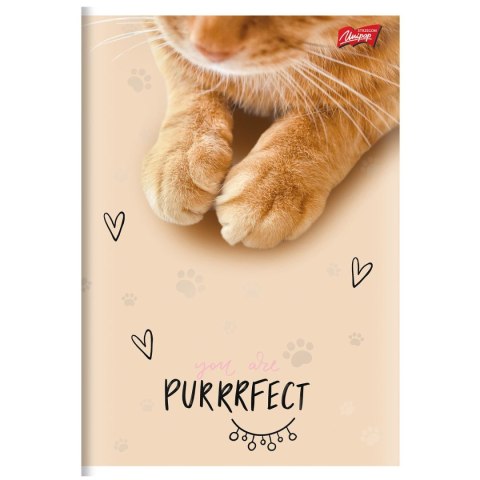 Zeszyt A5 PURRFECT MOMENTS 60k. 70g krata Unipap
