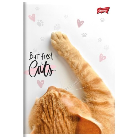 Zeszyt A5 PURRFECT MOMENTS 60k. 70g krata Unipap