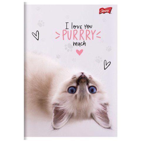 Zeszyt A5 PURRFECT MOMENTS 60k. 70g krata Unipap